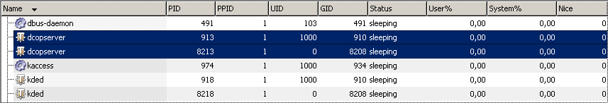 DCOPserver_running.png